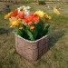 Цветник КАНЬОН купить в Кургане
