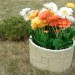 Цветник КАНЬОН купить в Кургане